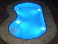 Bean Shaped Pool Manufacturer in Varanasi